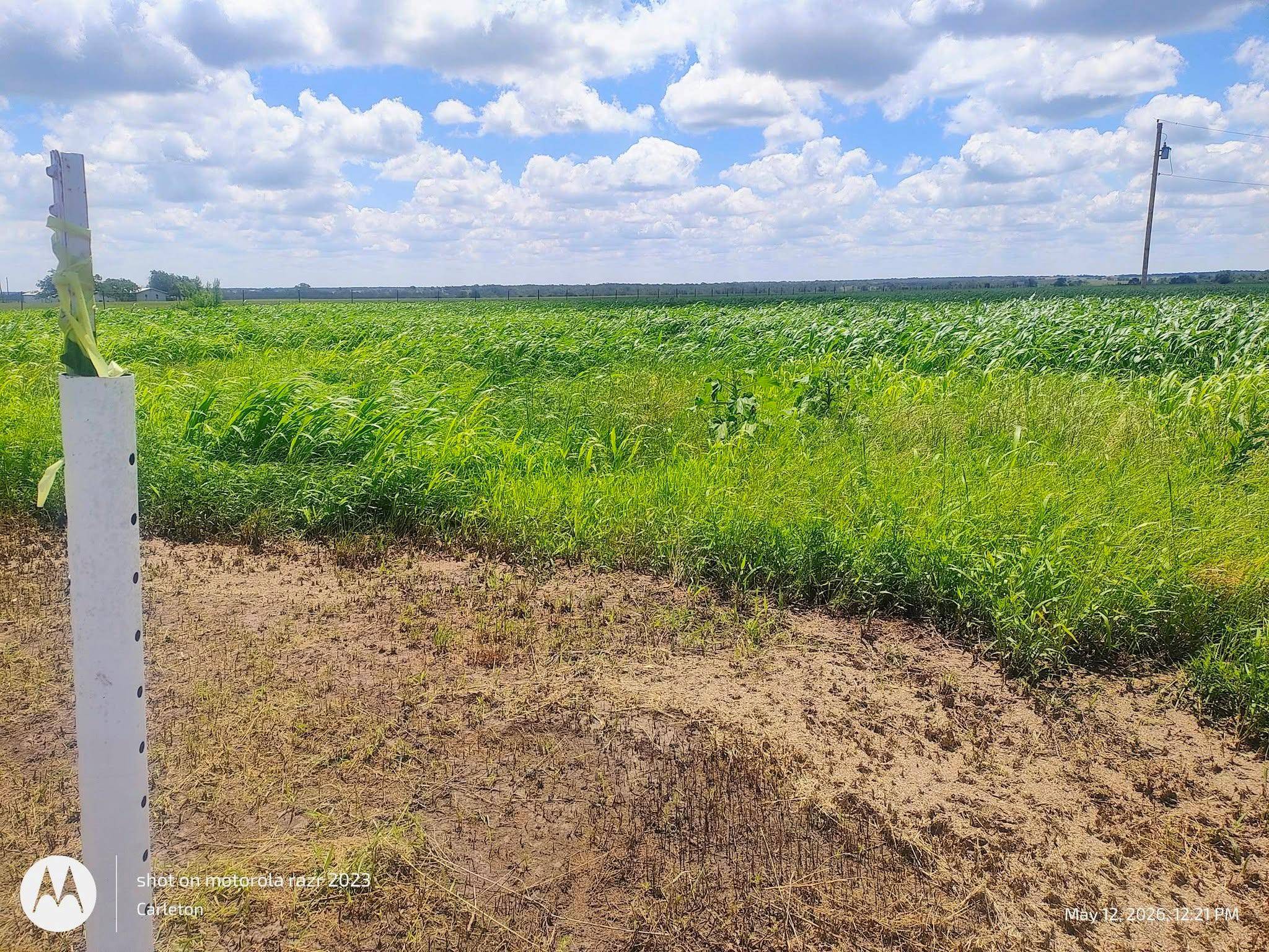 3001 Dolphin (lot 2) DR, Coupland, TX 78615
