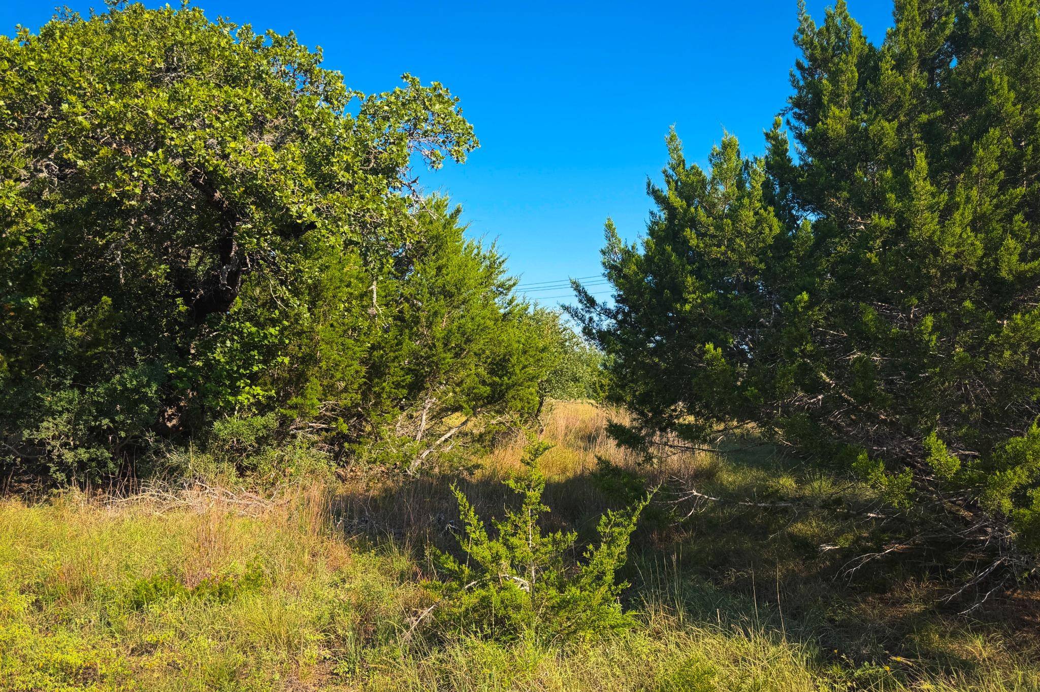 Lot 380 S Calvin Barrett RD, Blanco, TX 78606