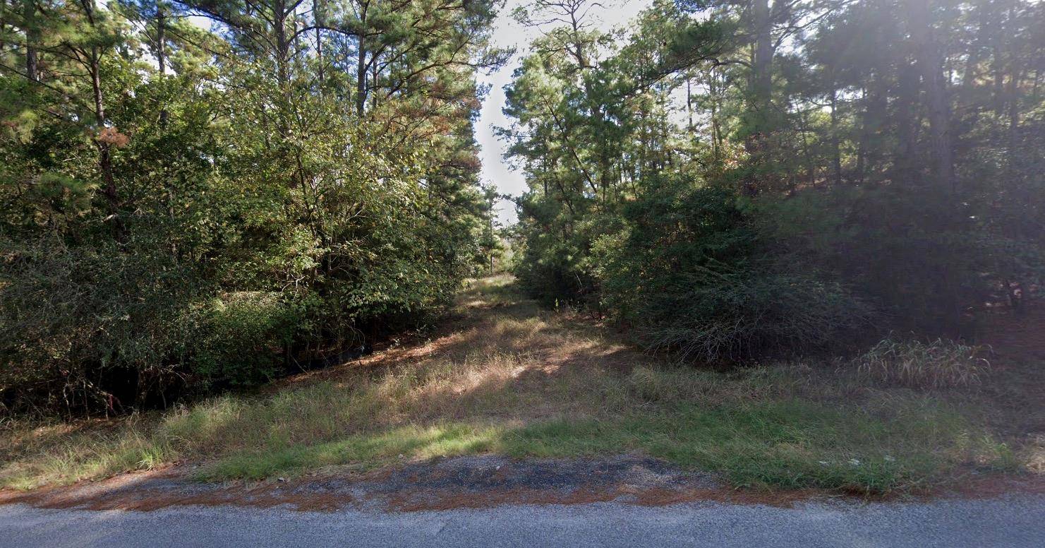 Lot 1450 Koae CT, Bastrop, TX 78602