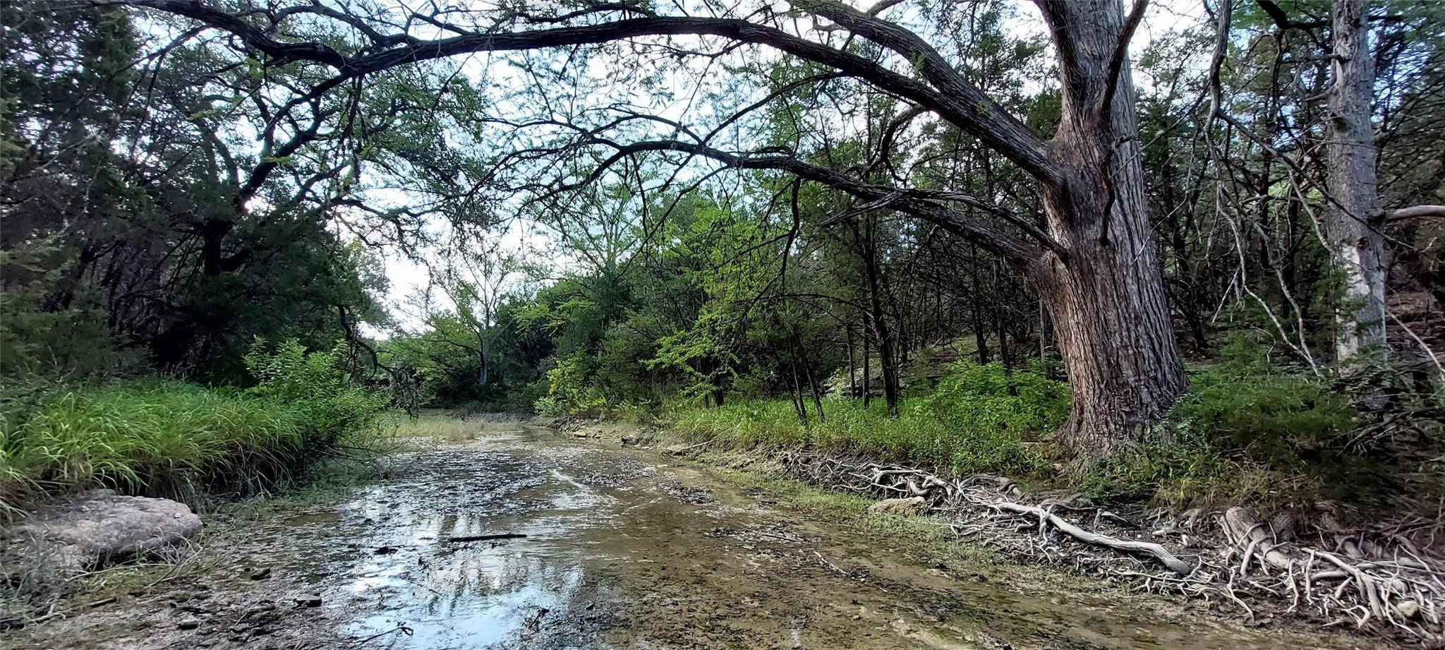 00000 Brinkley DR, Wimberley, TX 78676