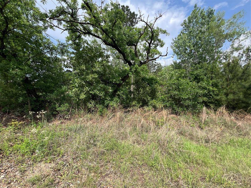 TBD Monku CT, Bastrop, TX 78602