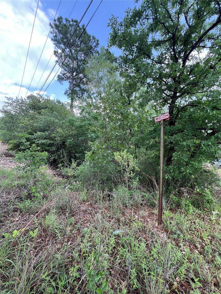 TBD Monku CT, Bastrop, TX 78602