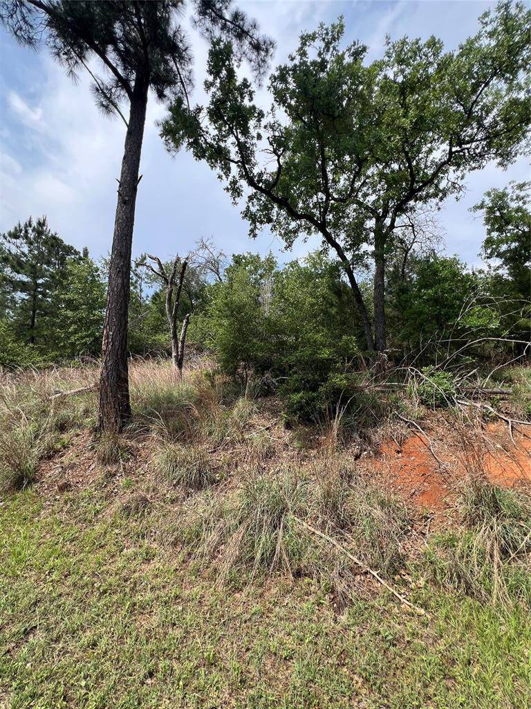 TBD Monku CT, Bastrop, TX 78602