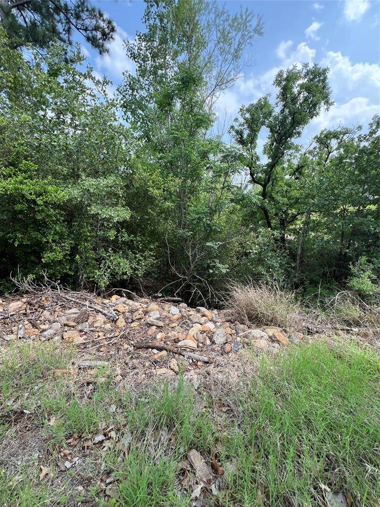 TBD Monku CT, Bastrop, TX 78602