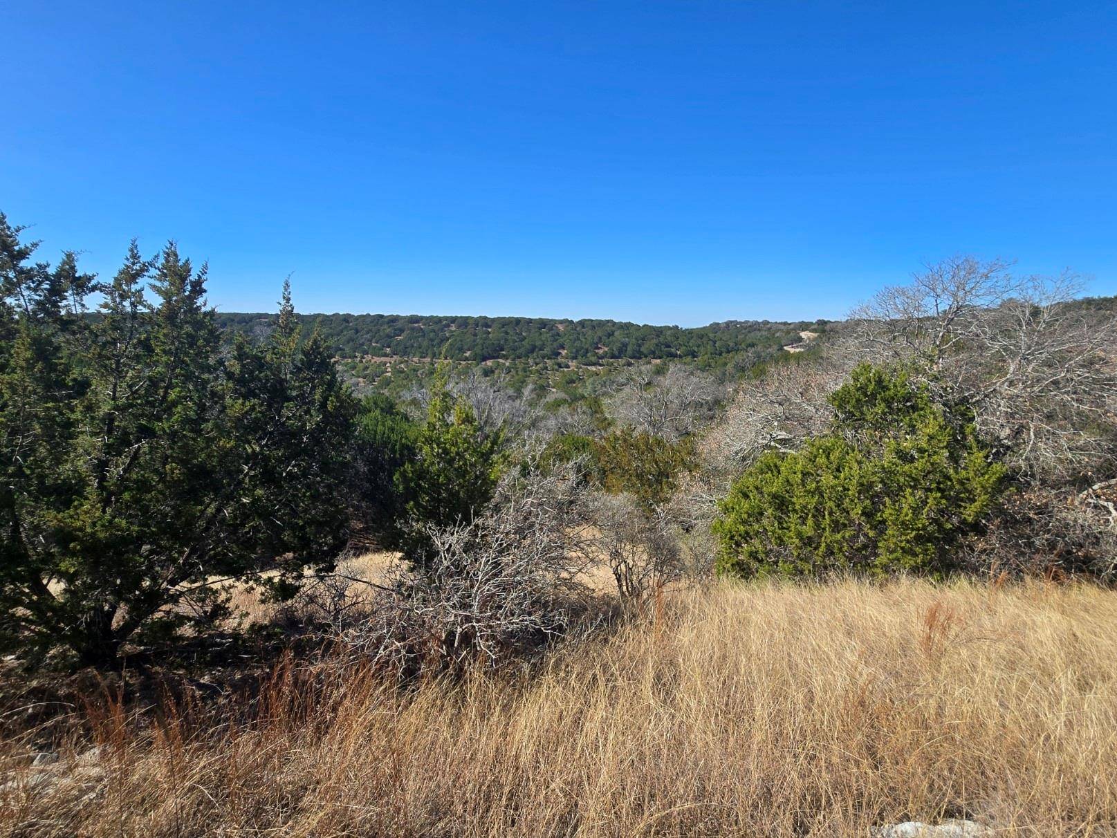 0 Sierra DR, Bertram, TX 78605