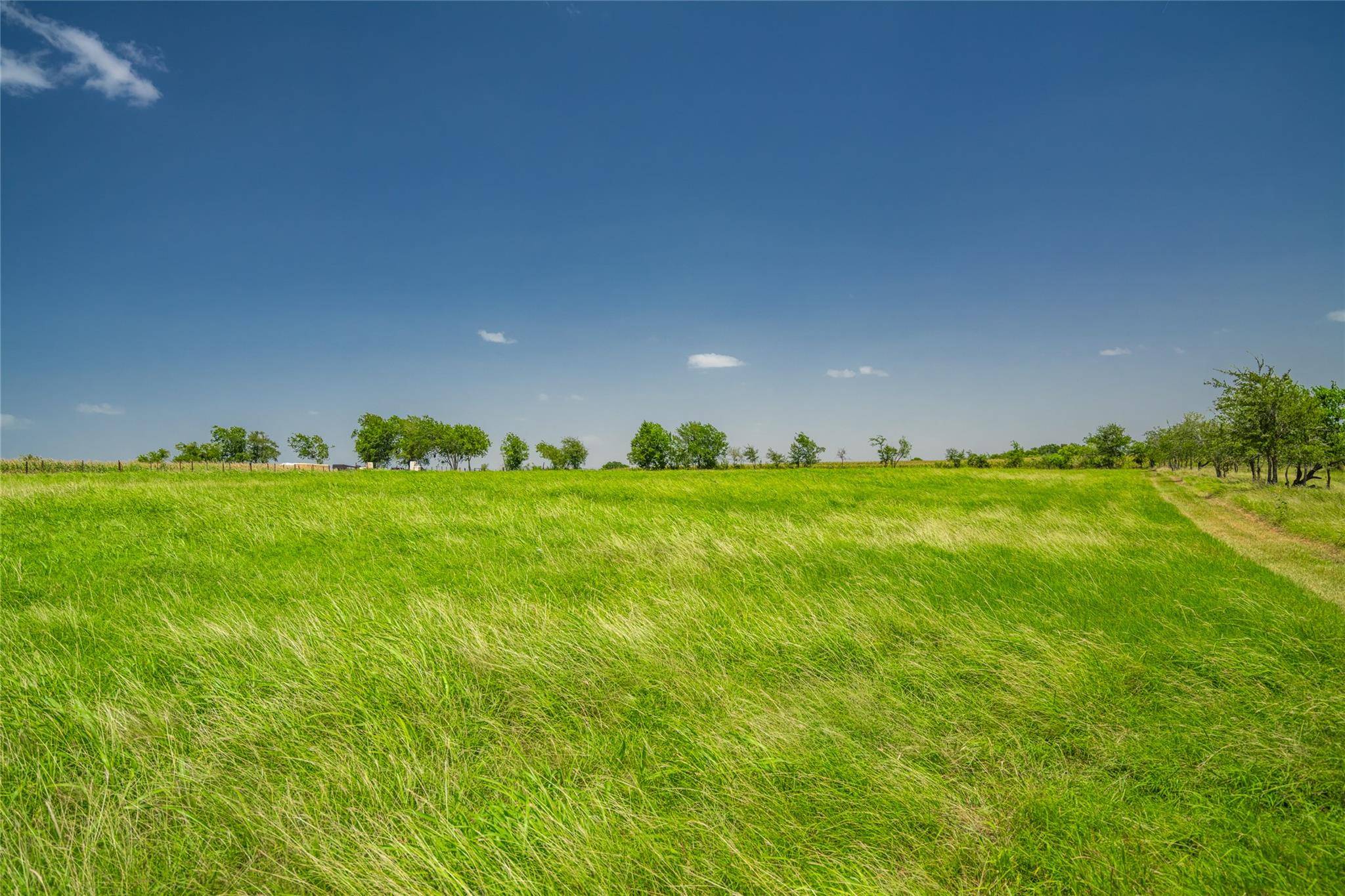 1750 FM 1063, Taylor, TX 76574