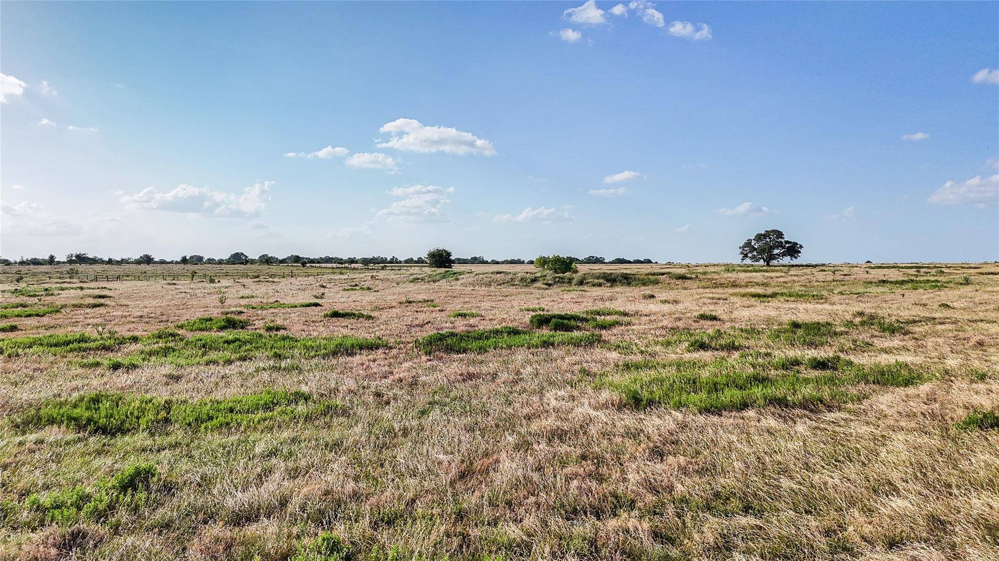 2179 E Highway 237, Round Top, TX 78954