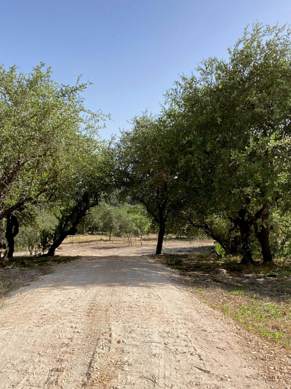 6709 Singleton Bend RD, Marble Falls, TX 78654