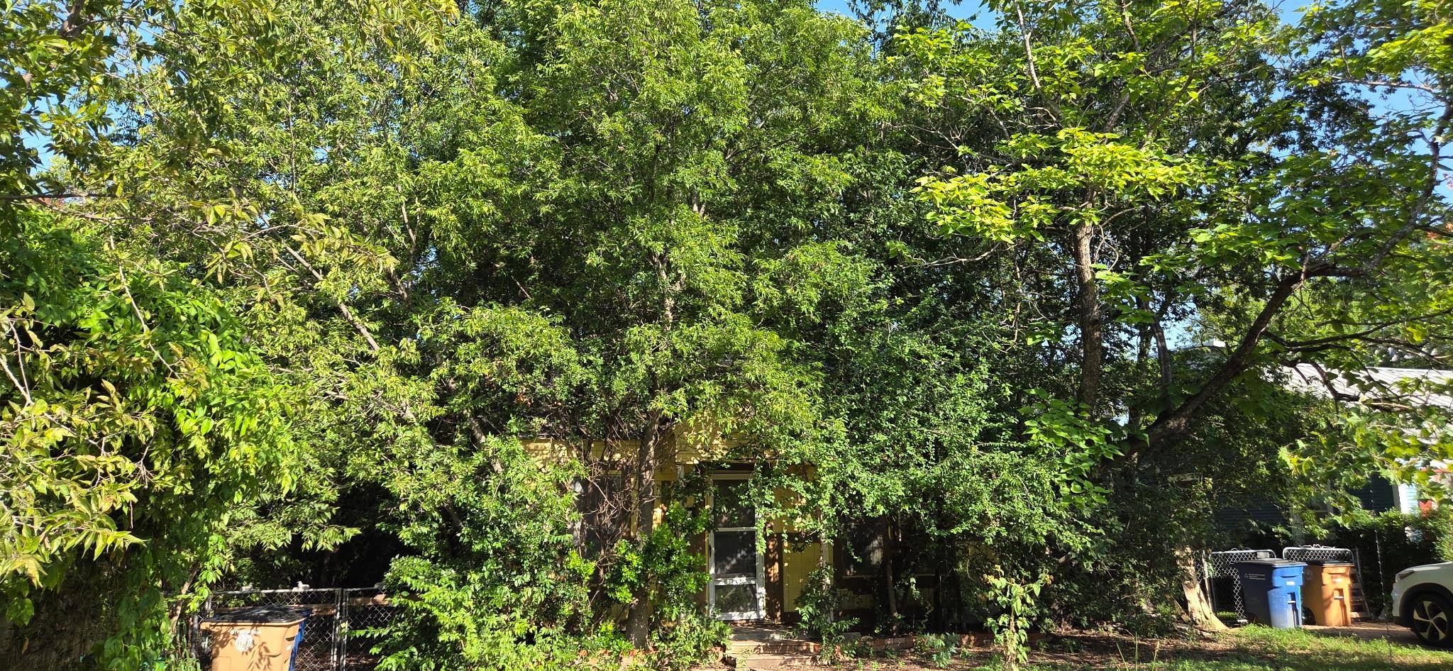 5309 Martin Ave, Austin, TX 78751