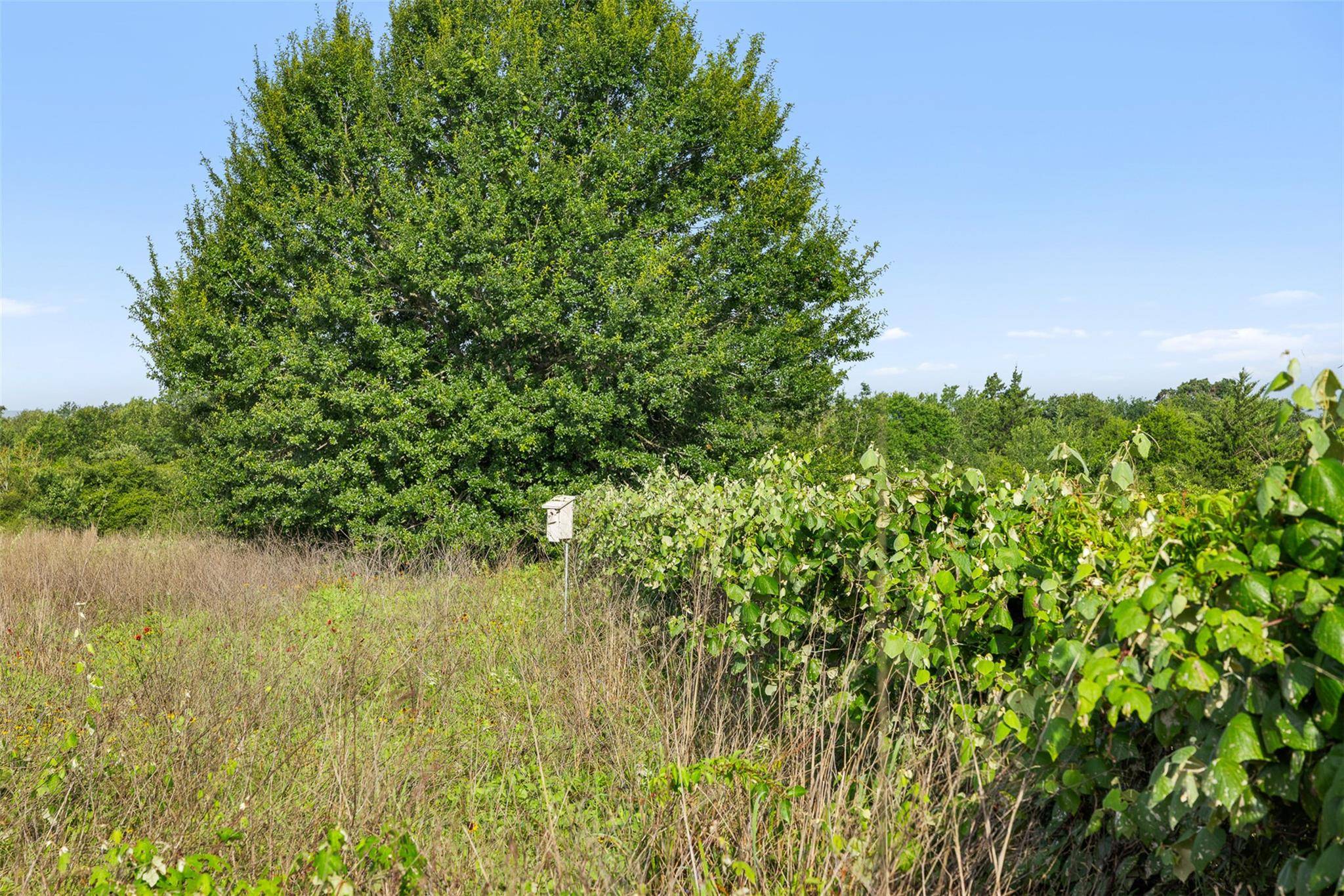 5241 County Road 358 CRST, Caldwell, TX 77836