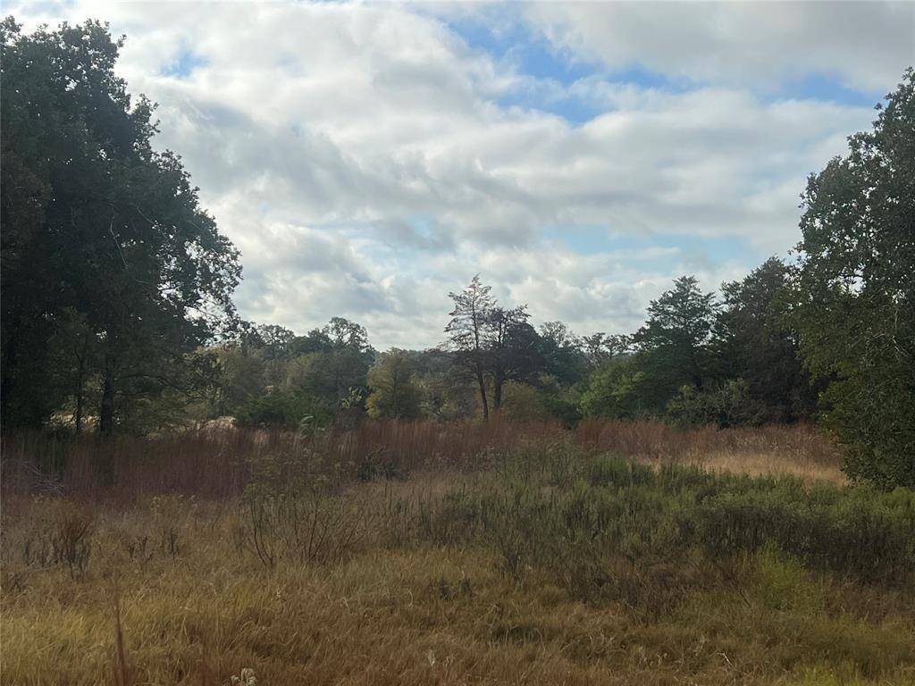 Tract 25 Walleye Creek, Lexington, TX 78947