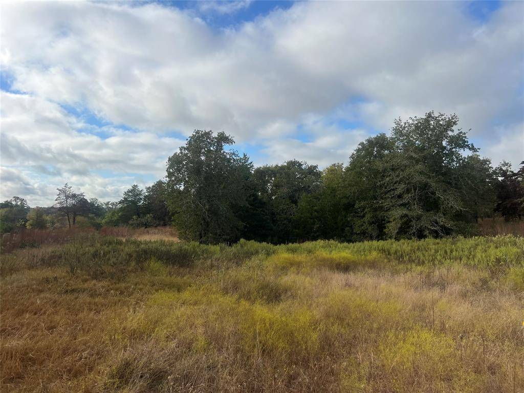 Tract 25 Walleye Creek, Lexington, TX 78947
