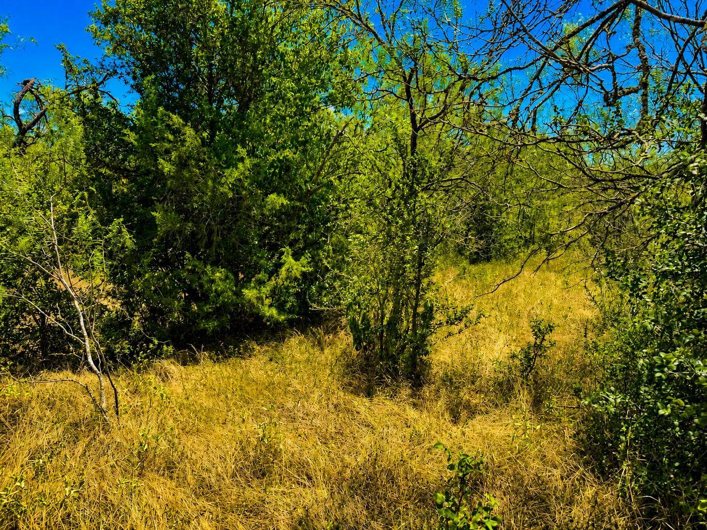 221 Fawn Ridge RD, Cedar Creek, TX 78612