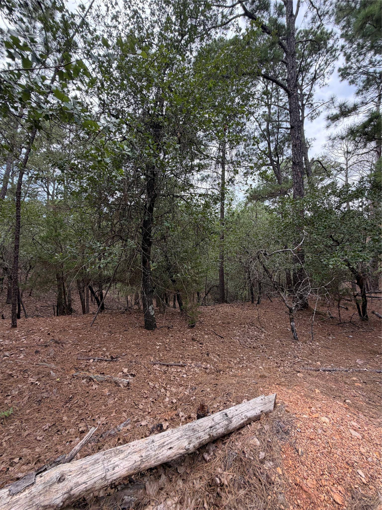 Lots 216 and 217 Hekili DR, Bastrop, TX 78602
