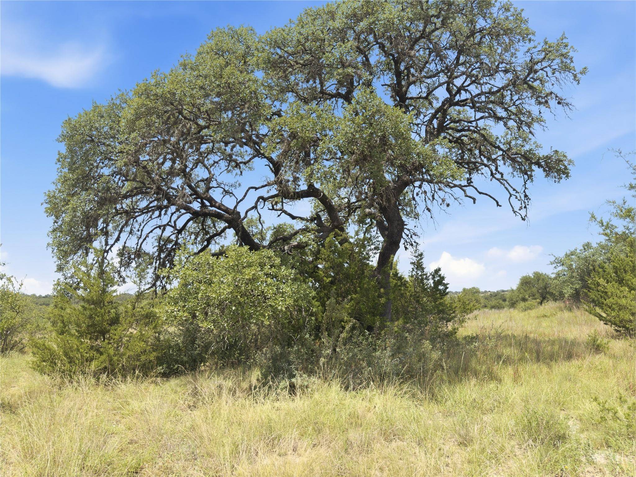963 Summit Ridge Trail DR, Johnson City, TX 78636