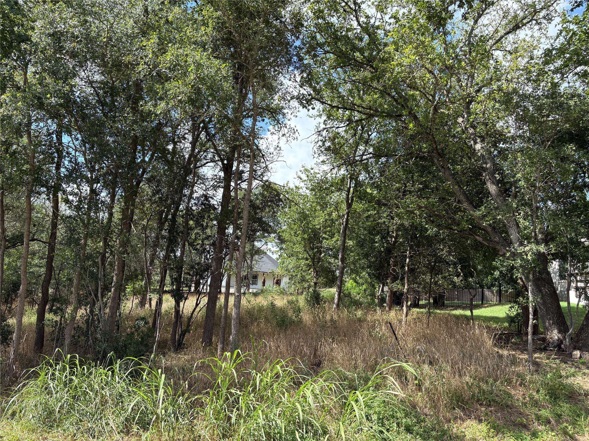 111 W Kikipua LN W, Bastrop, TX 78602