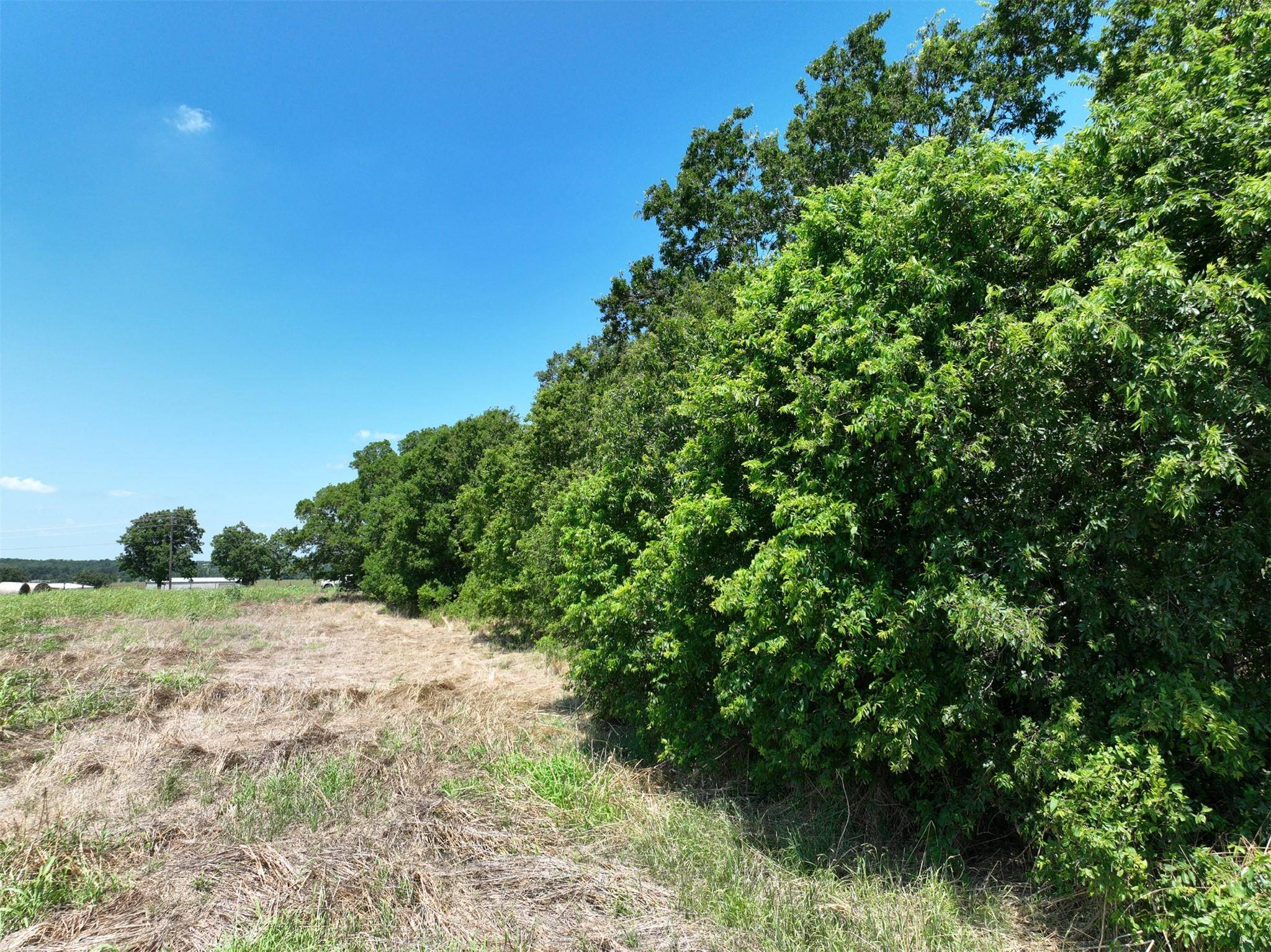 Lot 1 CR 142 RD, Cameron, TX 76520