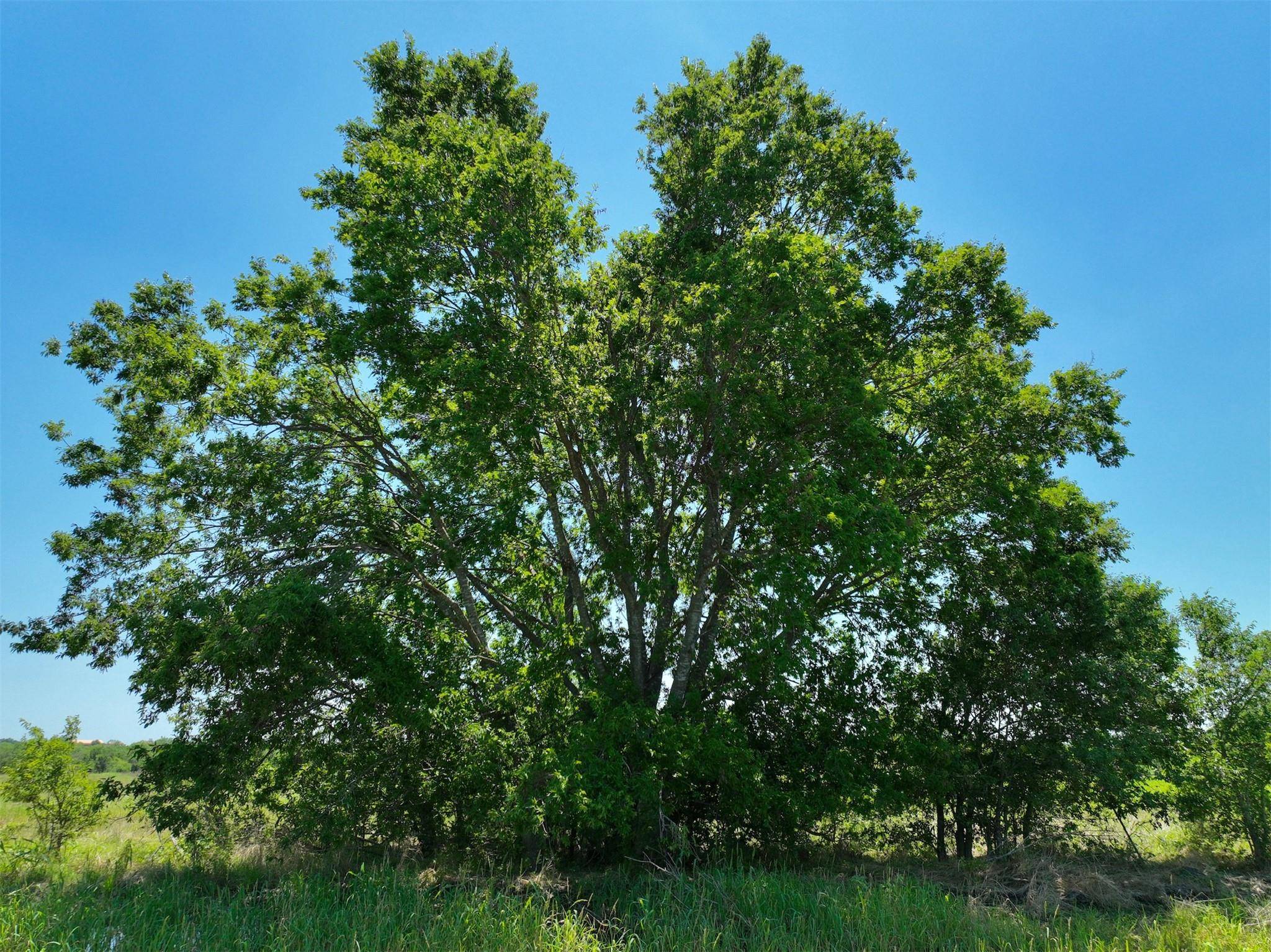 Lot 1 CR 142 RD, Cameron, TX 76520