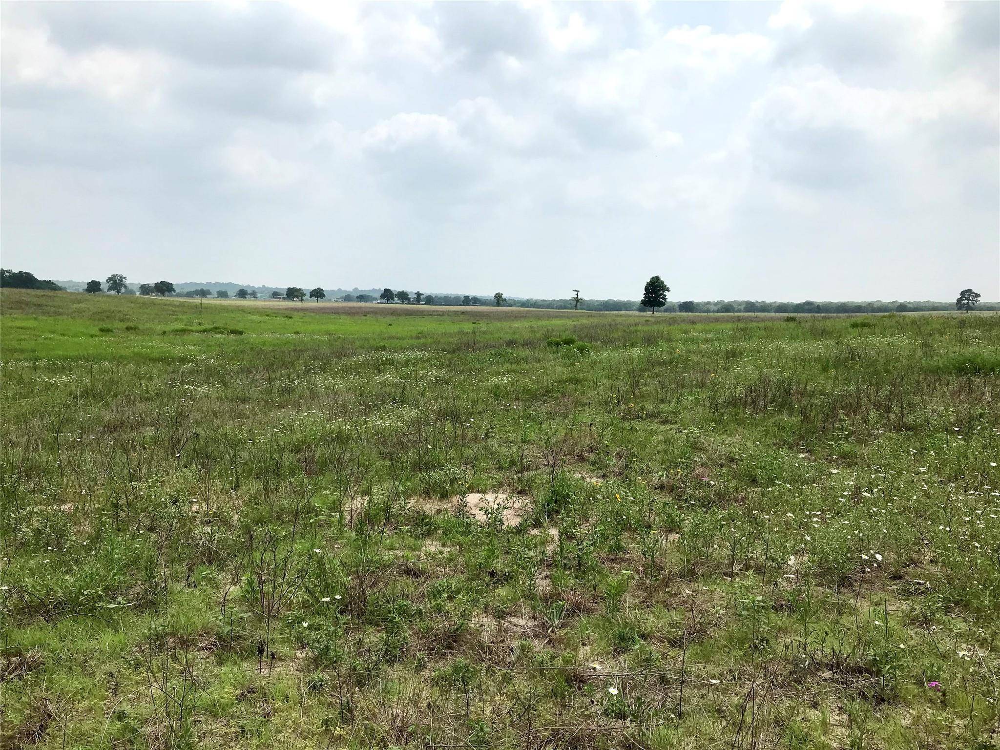 1672 Tract 3 Sayers RD, Bastrop, TX 78602