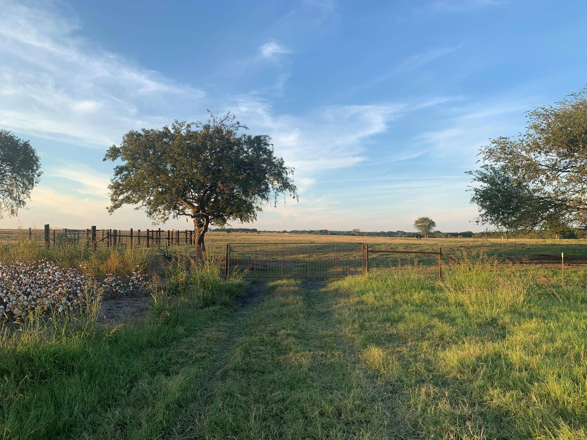TBD2 County Road 154, Georgetown, TX 78626