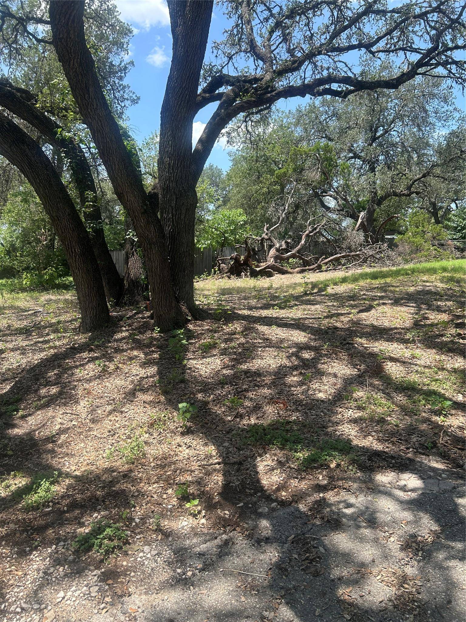 7900 Persimmon TRL, Austin, TX 78745
