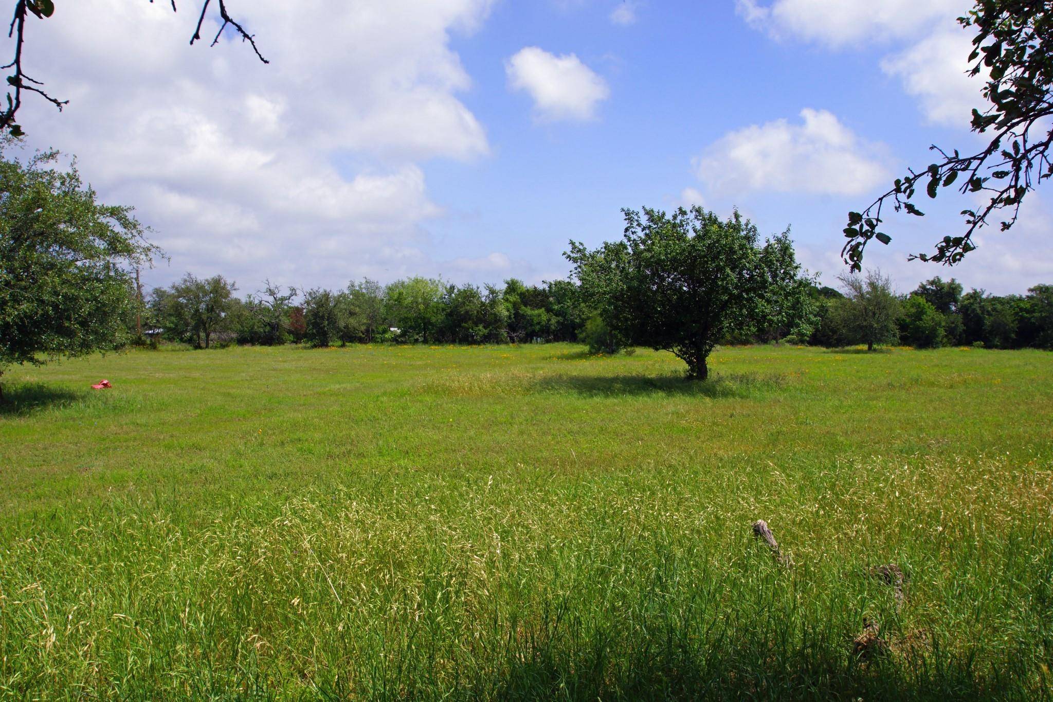 350 Apache Springs RD, Briggs, TX 78608