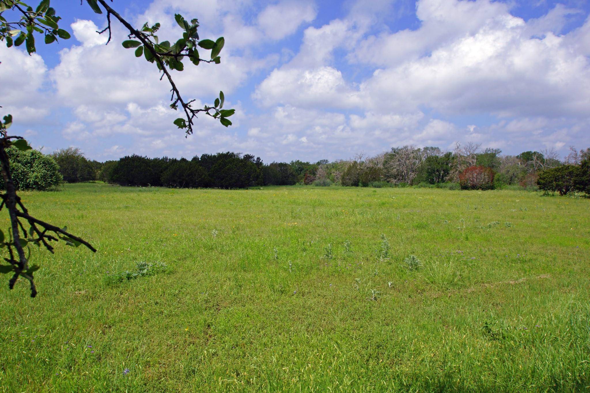 350 Apache Springs RD, Briggs, TX 78608