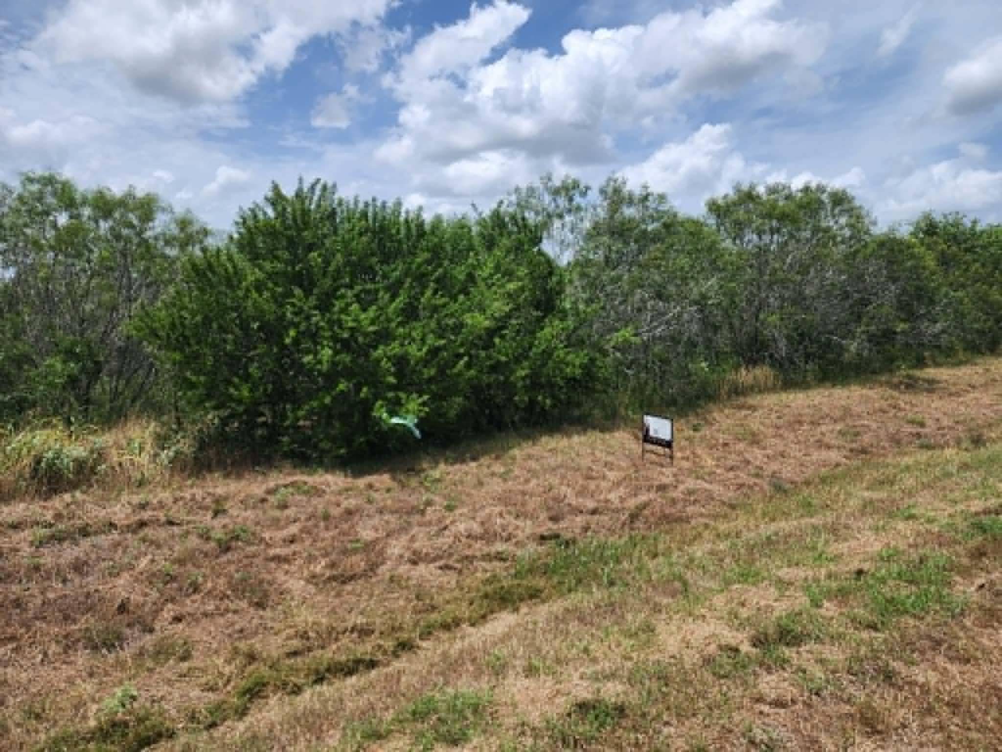 000 Fm 466 ST, Cost, TX 78614