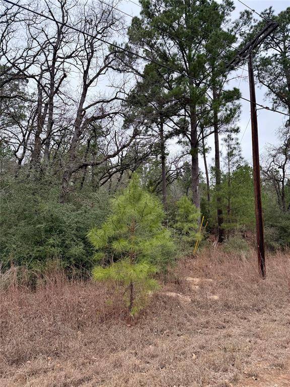 Address not disclosed, Bastrop, TX 78602