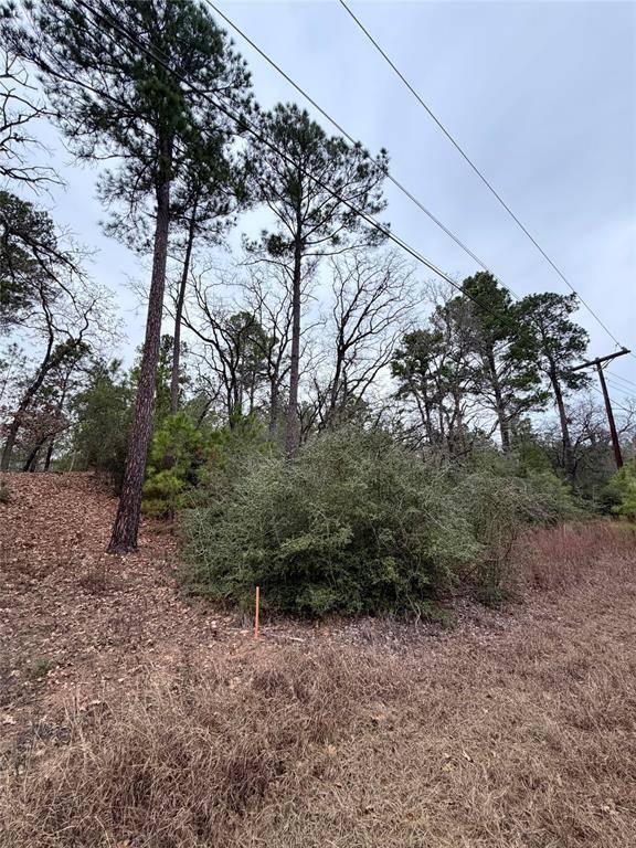 Address not disclosed, Bastrop, TX 78602