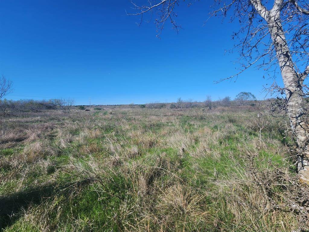 13109 Candide LN, Kyle, TX 78640