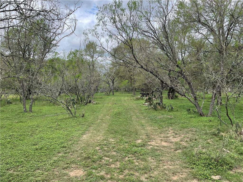 134 Wilfred LN, Bastrop, TX 78602
