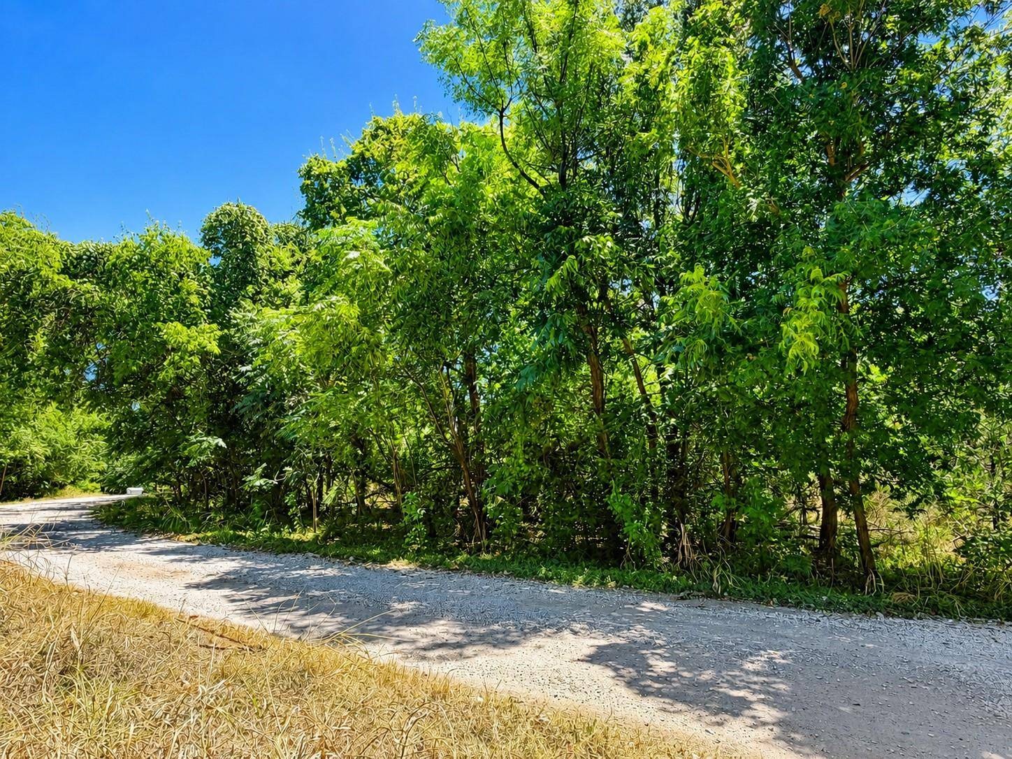 TBD Buckner LN, Burnet, TX 78611