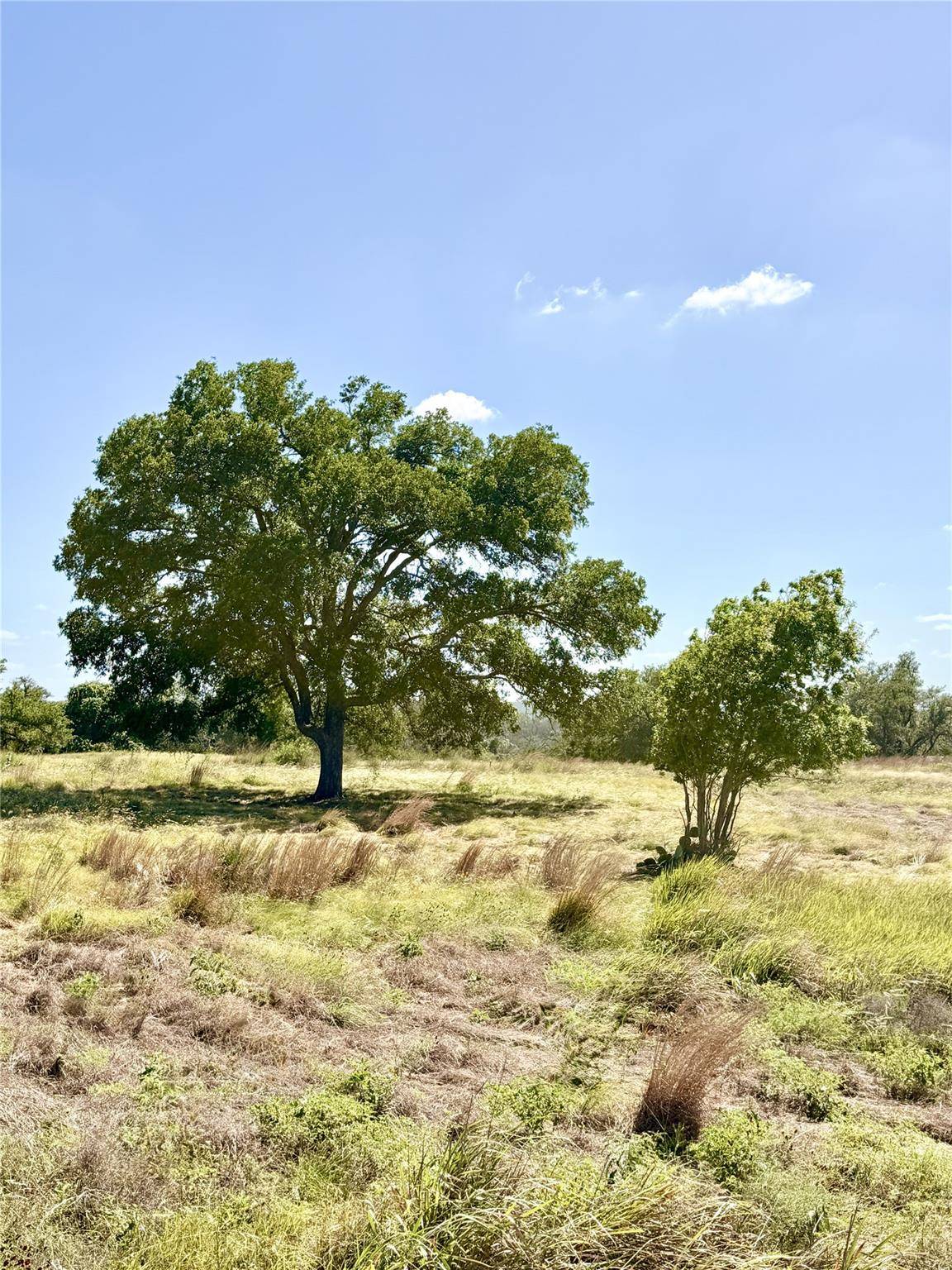Lot 91 Axis CIR, Fredericksburg, TX 78624