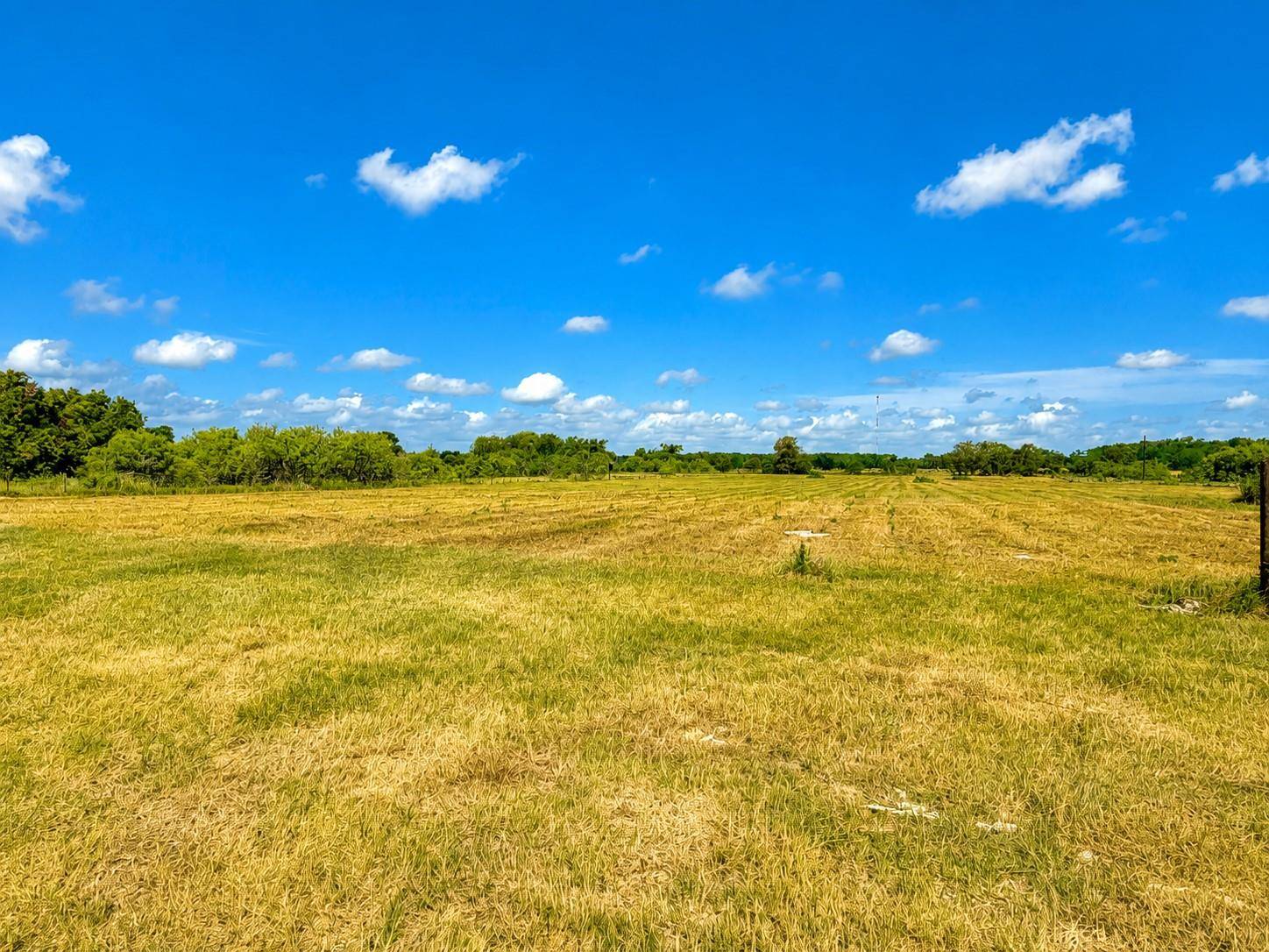 1155 FM 1600, Cameron, TX 76520