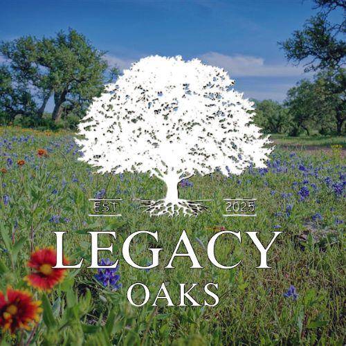 Lot 1 Legacy Ridge, Burnet, TX 78611