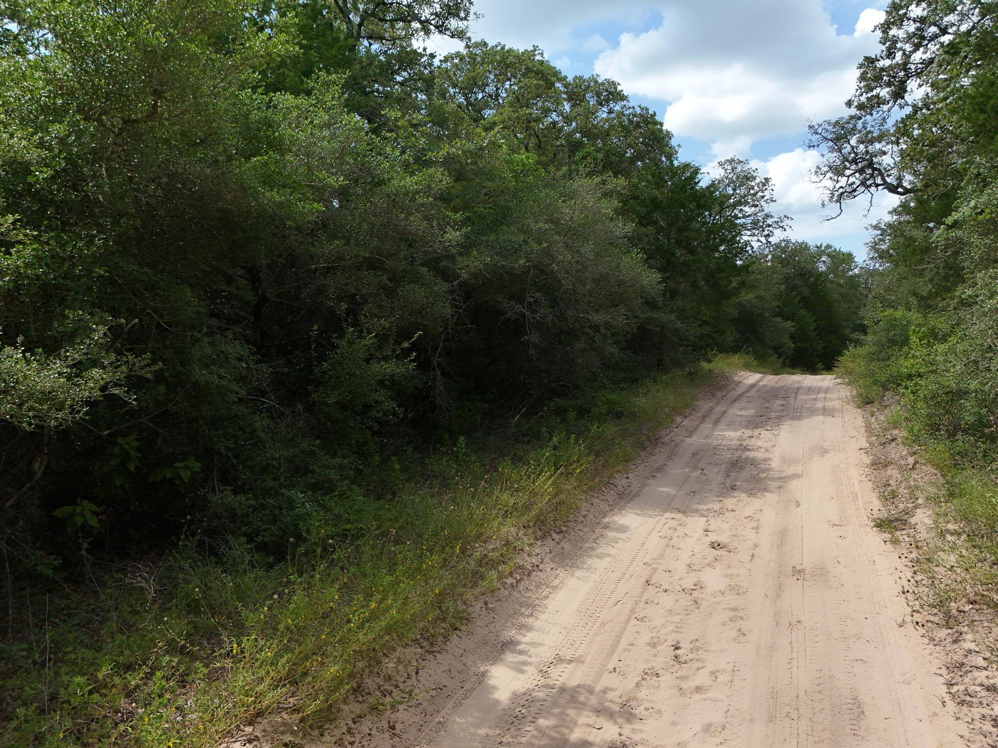TBD Starlight PATH, Caldwell, TX 77836
