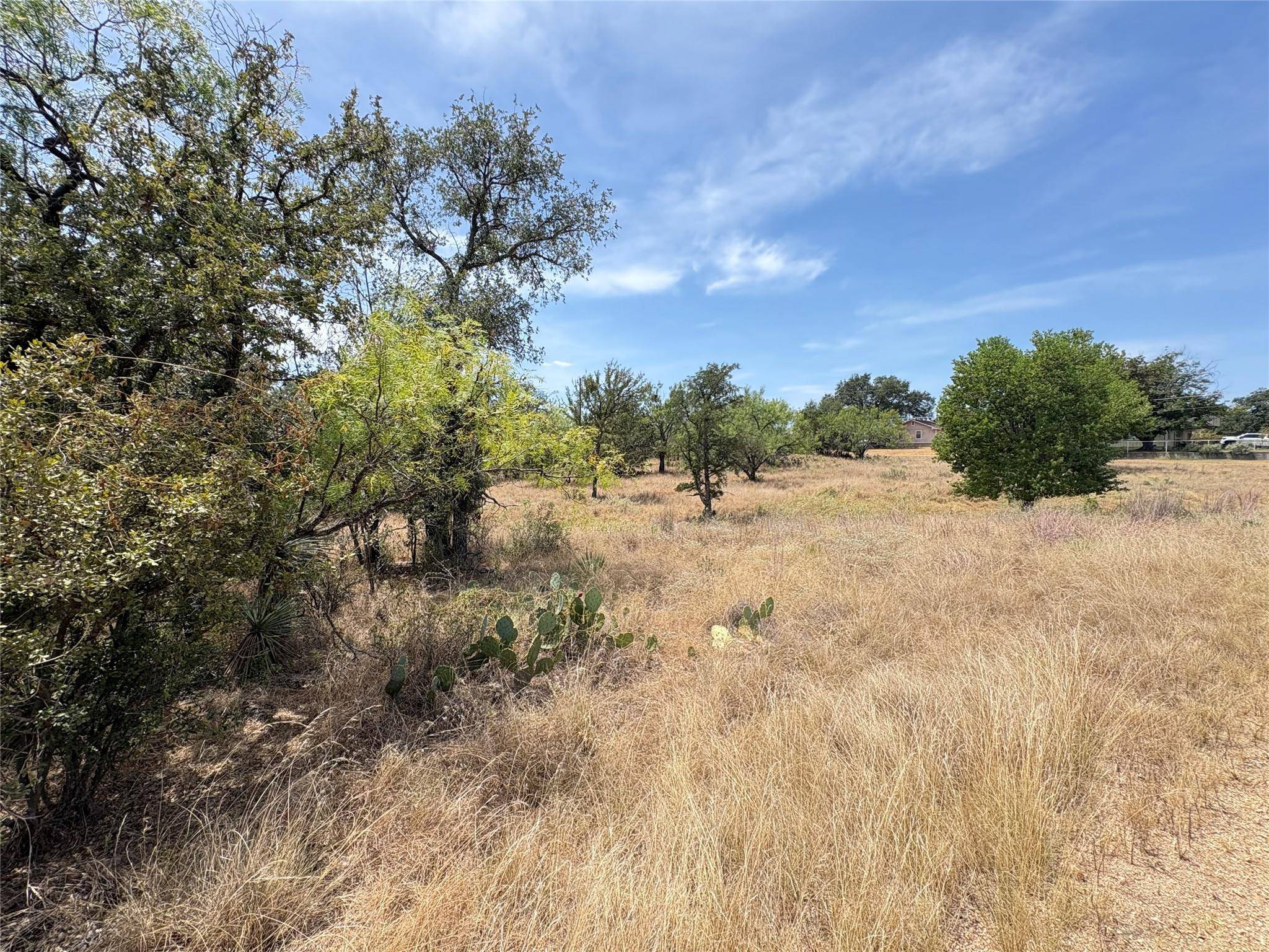 387 Rosehill DR, Granite Shoals, TX 78654