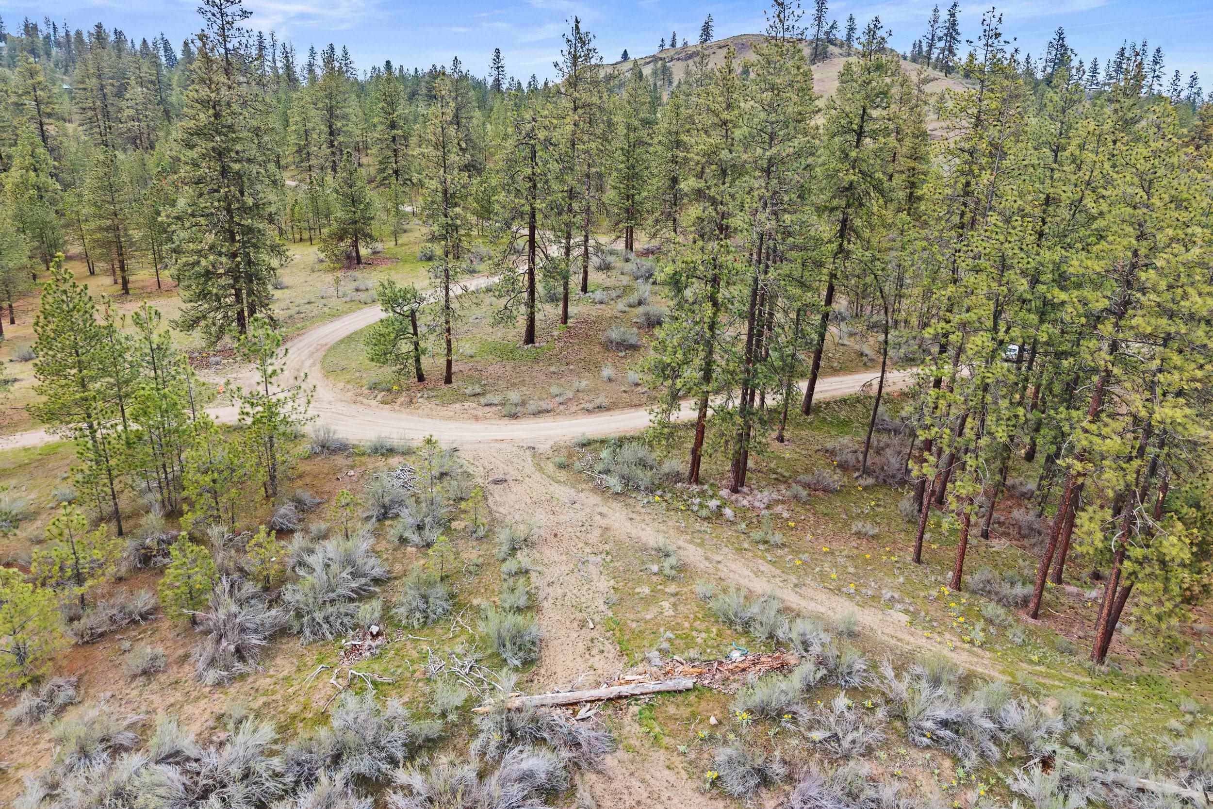 36480 N Western Pines Dr, Davenport, WA 99122