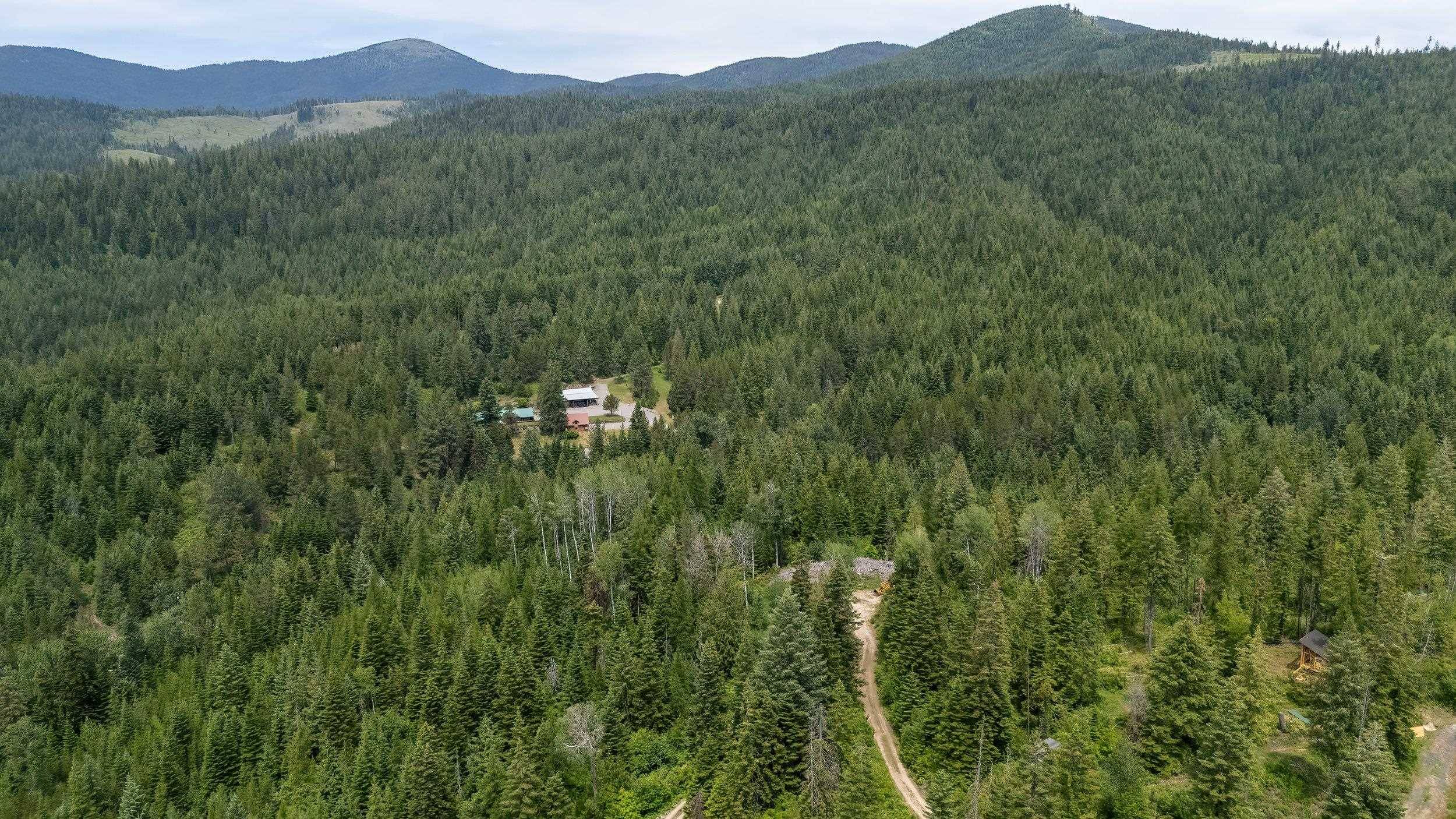 20611 E Wallis Rd, Mead, WA 99021