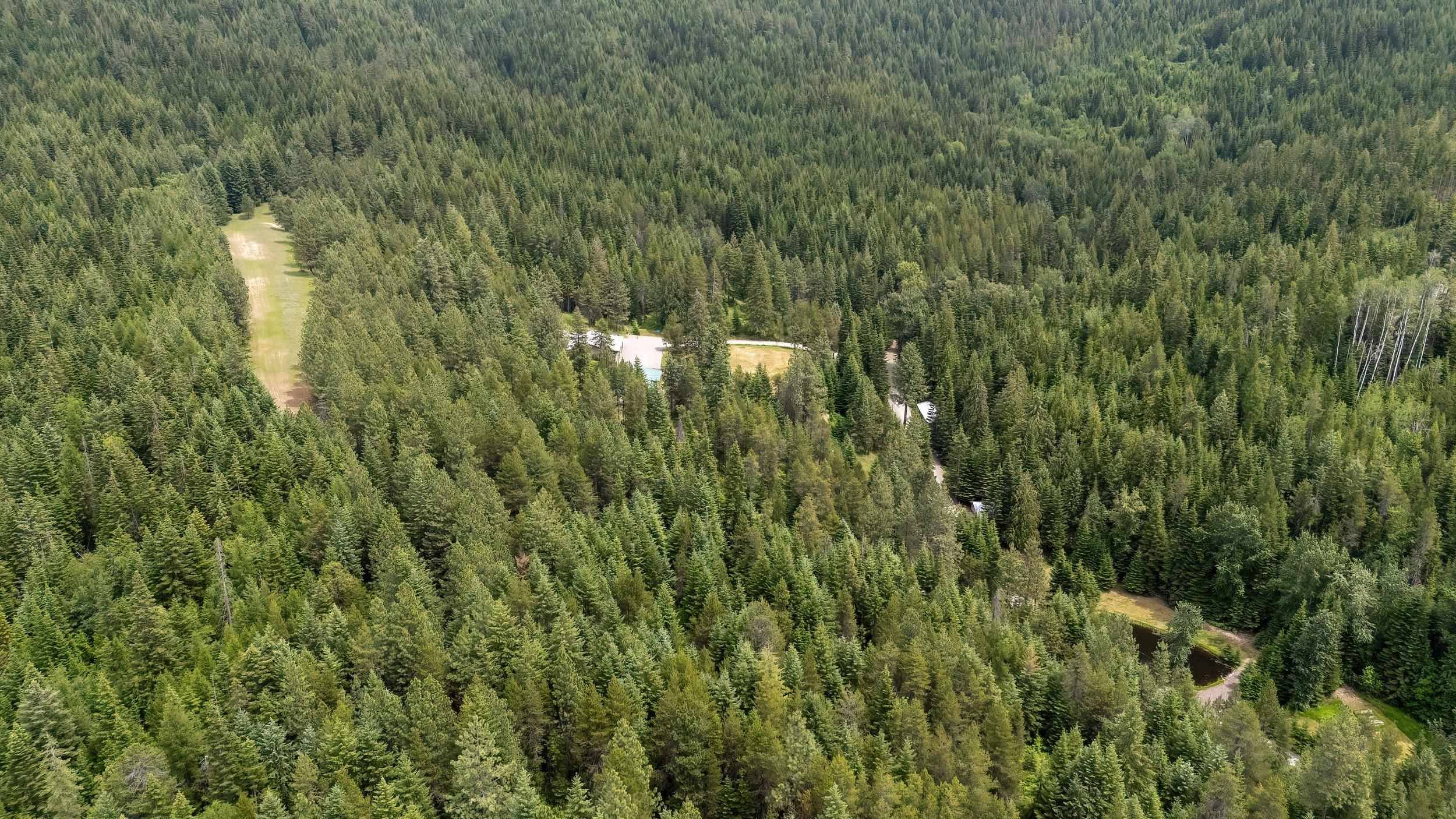 20611 E Wallis Rd, Mead, WA 99021