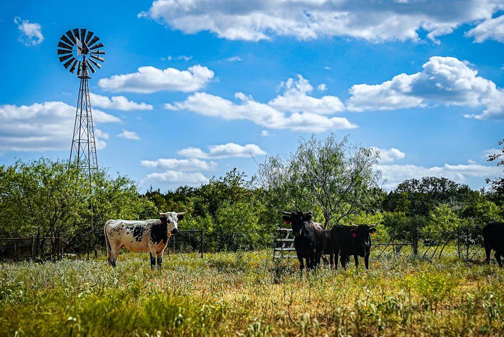 000 W BARTLETT DR, Buda, TX 78610