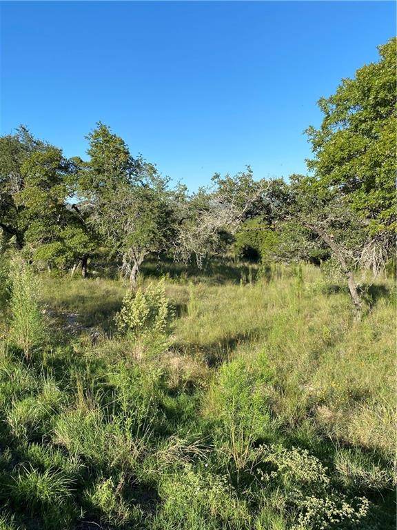 100 Billings FRST, Boerne, TX 78006