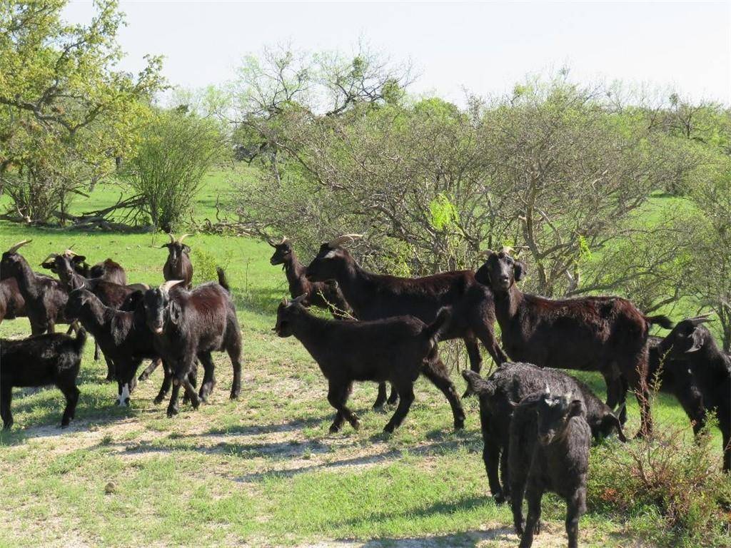 8411 E FM 1431, Marble Falls, TX 78654
