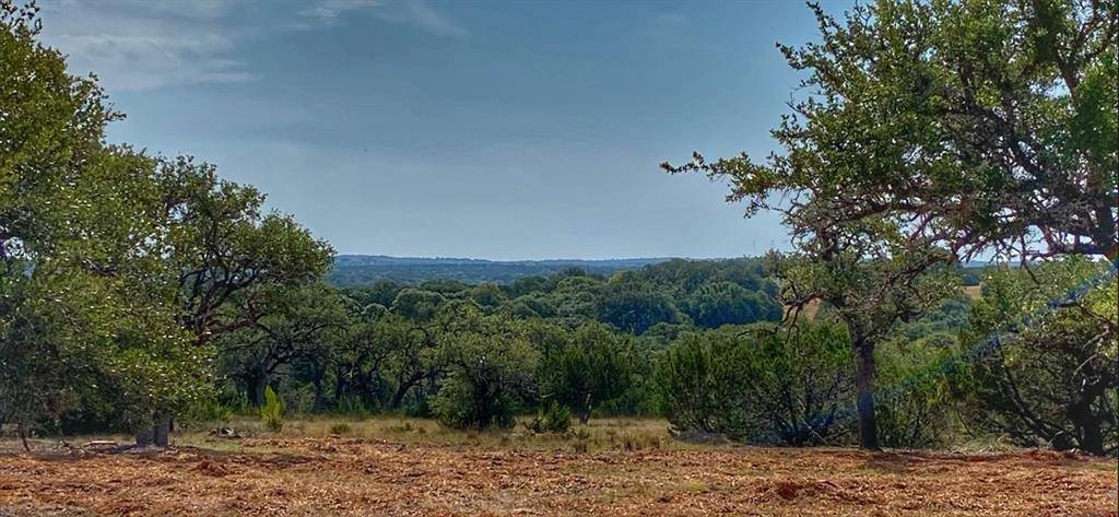 000 Ranch Road 1376, Luckenbach, TX 78624
