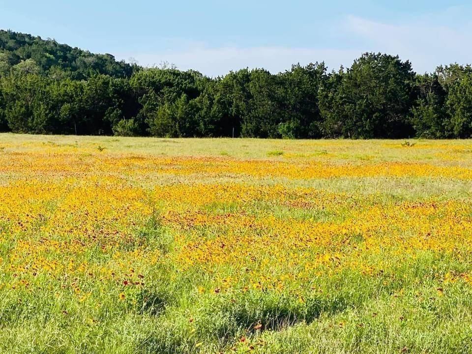 1471 Lutheran Church Rd Lot 8 Blk 1 RD, Copperas Cove, TX 76522