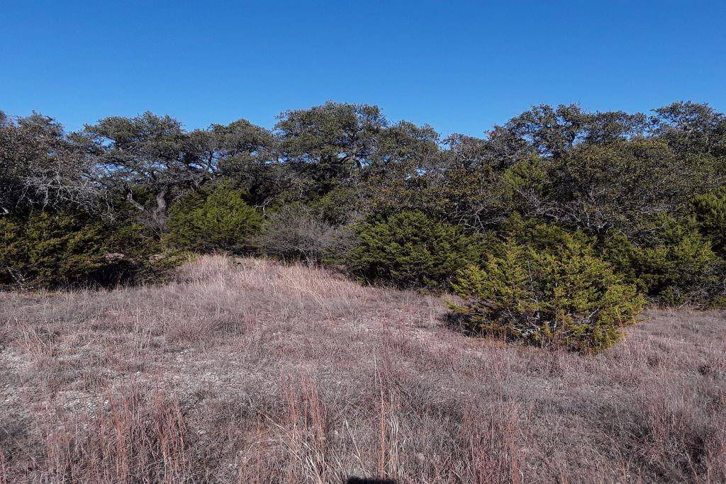 Lot 23 Elm DR, Marble Falls, TX 78654