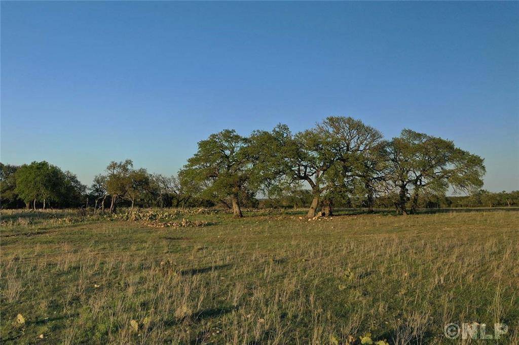 TBD Avila Ridge DR, Kerrville, TX 78028