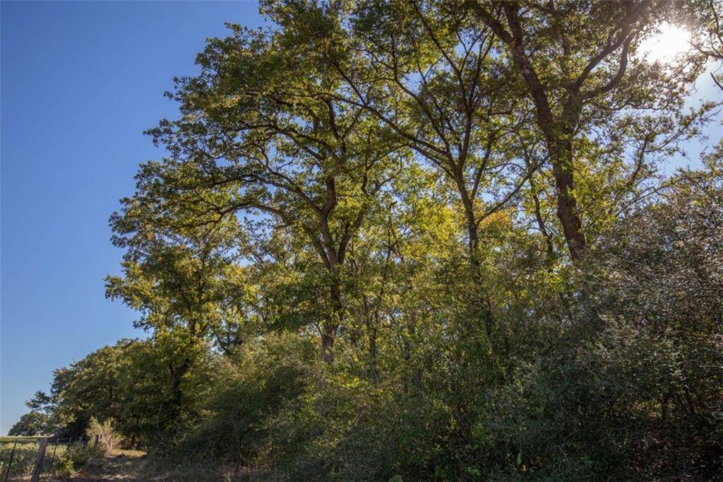 12943 Bartkowiak RD, Bremond, TX 76629