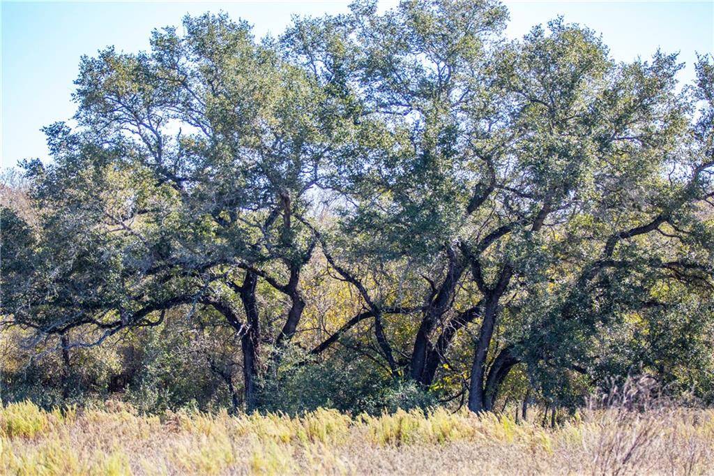 TBD CR 438, Stockdale, TX 78160